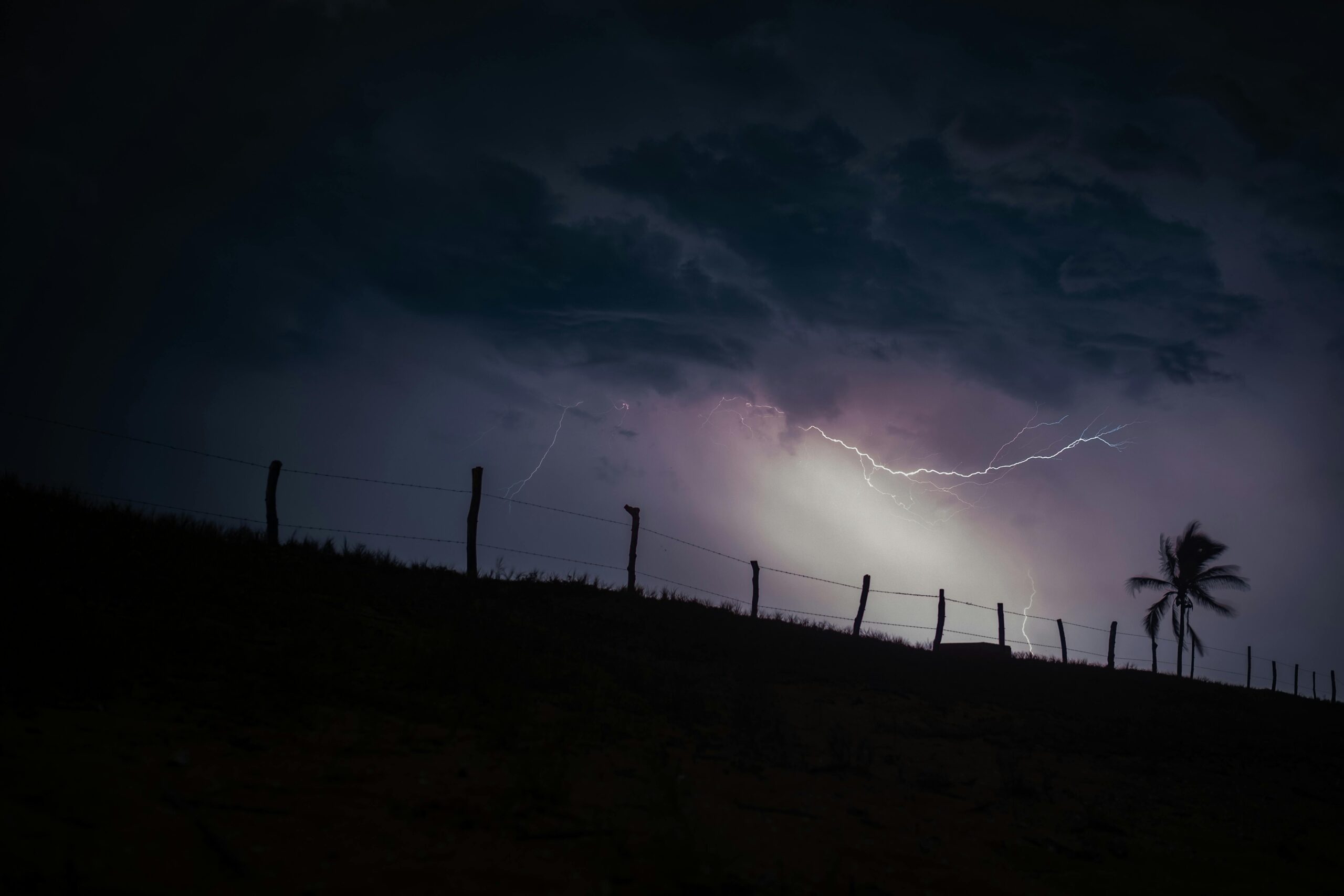 Silhouette of a palm tree and fence during a lightning storm in Jalisco, Mexico.